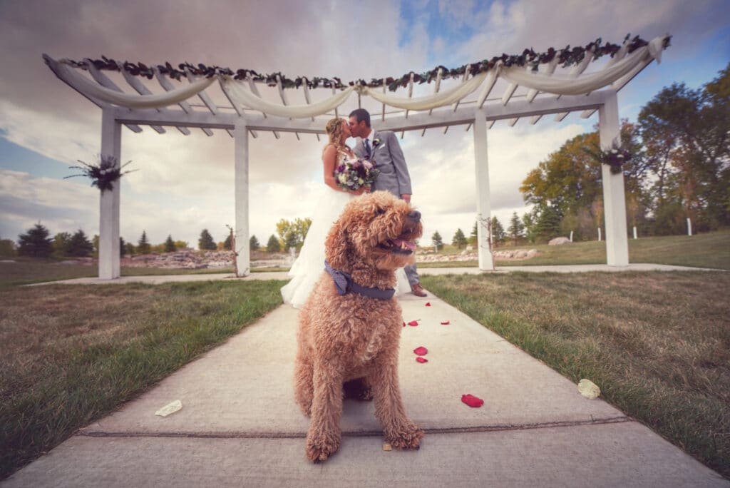 Newlyweds kissing in the background with their dog in the foreground.