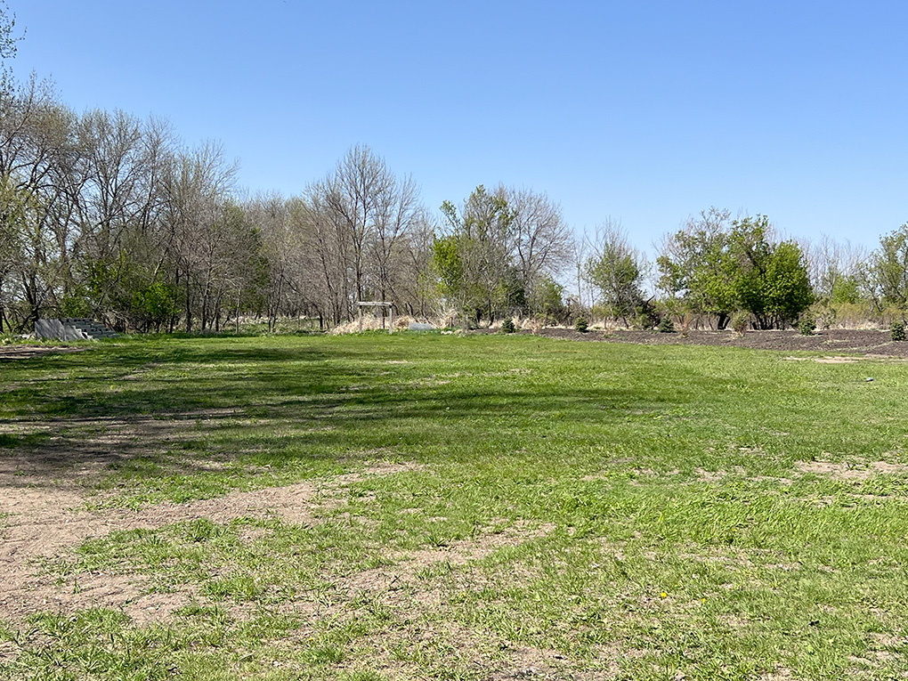 Open grassy field with trees under blue sky
