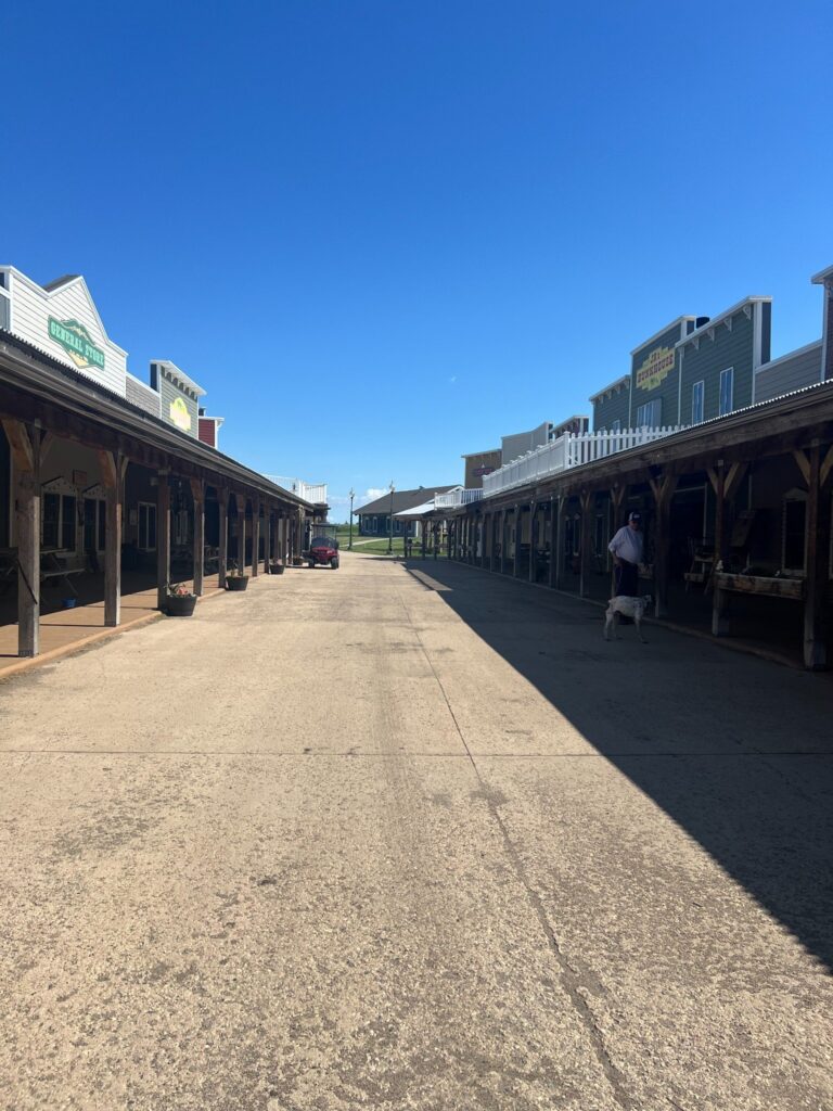 Old West-style storefronts lining a sunny pedestrian street