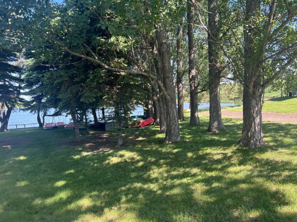 Tree-shaded lakeside lawn with kayaks and paddle boats