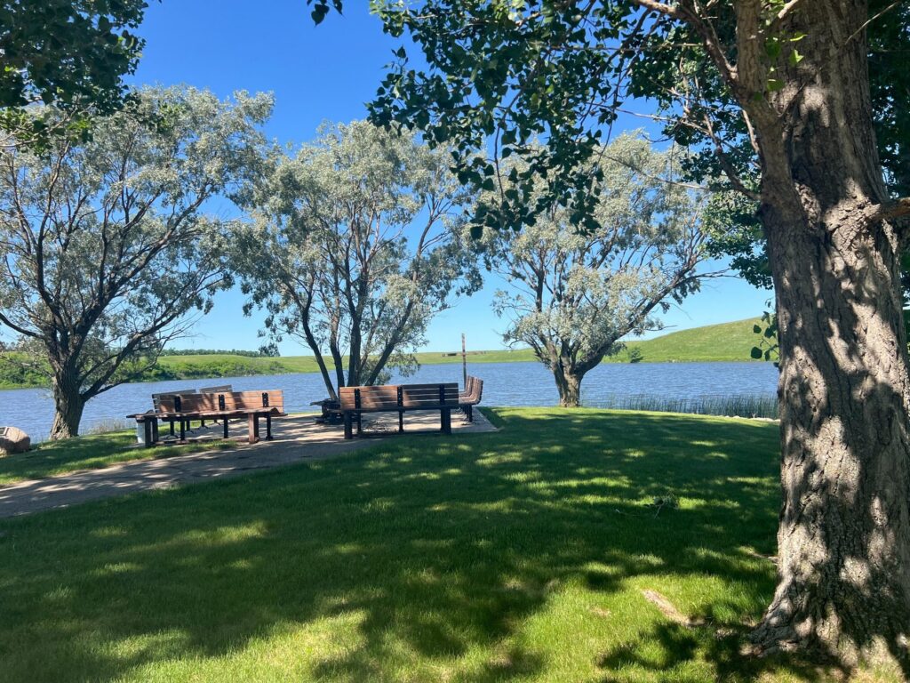 Shaded benches beside a calm lake under blue sky