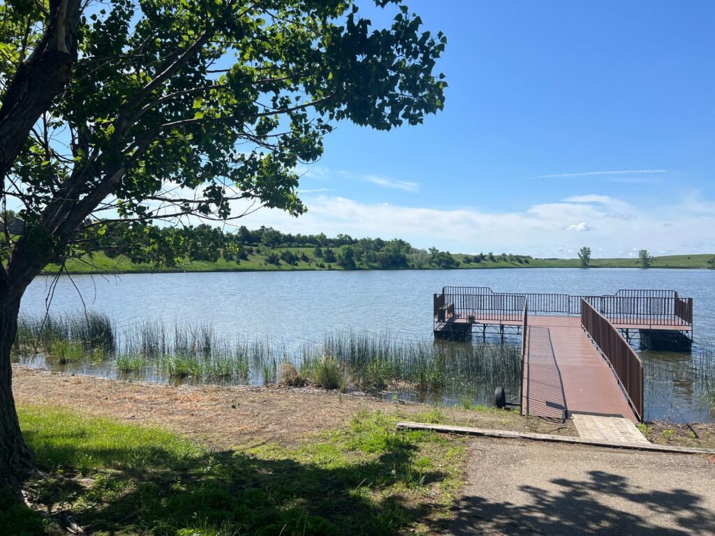 Lakeside dock beneath leafy tree and blue sky